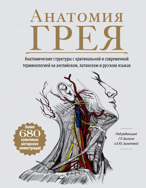 Анатомия Грея. Анатомические структуры с оригинальной и современной терминологией на английском, латинском и русском языках