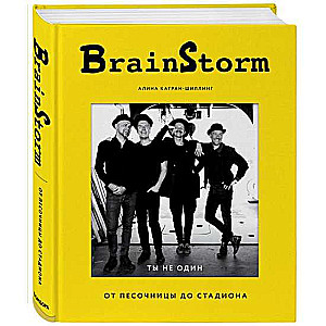 BrainStorm. Ты не один. От песочницы до стадиона