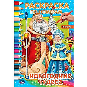 Новогодние чудеса. Первая раскраска  по номерам