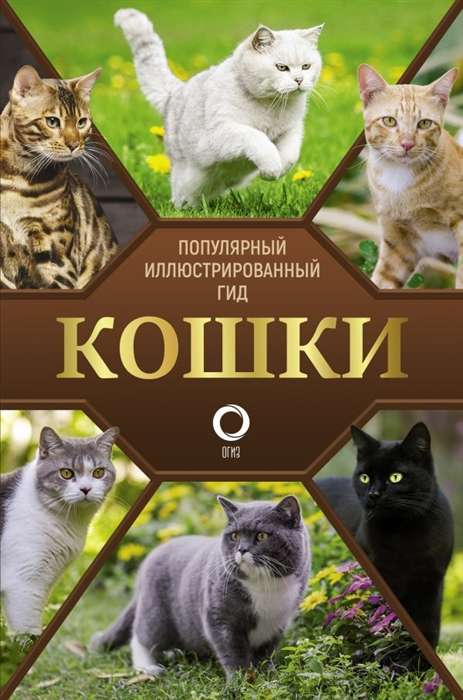 Кошки. Популярный иллюстрированный гид