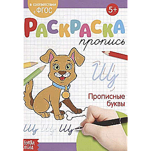 Раскраска-пропись. Прописные буквы