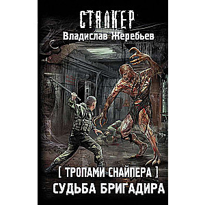 Тропами Снайпера. Судьба Бригадира