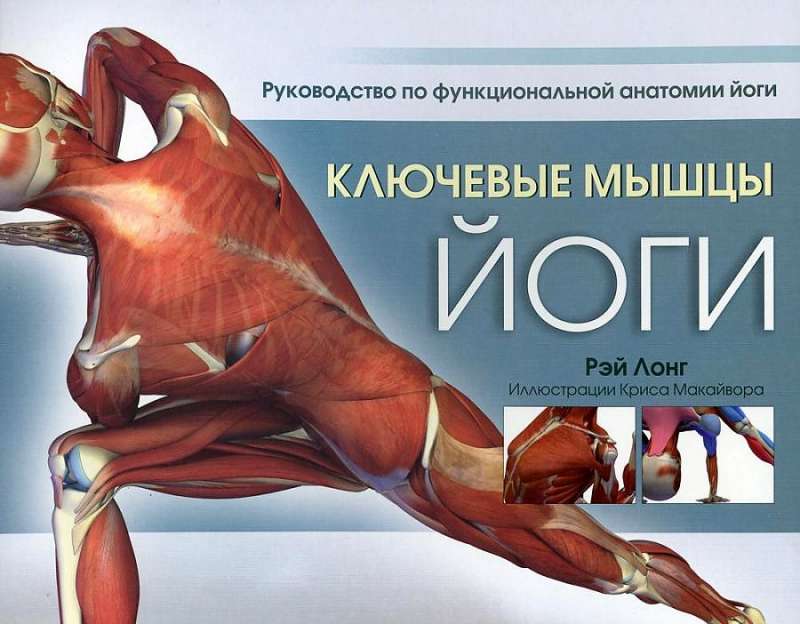 Ключевые мышцы йоги