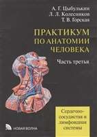 Практикум по анатомии человека. В 4-х частях. Часть 3. Сердечно-сосудистая и лимфоидная системы