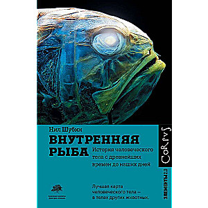 Внутренняя рыба. История человеческого телас древнейших времён до наших дней