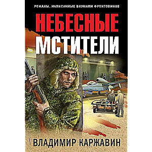 Небесные мстители