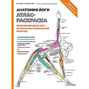 Анатомия йоги: атлас-раскраска. Визуальный гид по телу — от структуры к осознанной практике