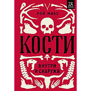 Кости: внутри и снаружи