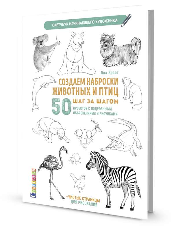 Скетчбук. Создаем наброски животных и птиц шаг за шагом: 50 проектов с подробными объяснениями и рисунками (зебра)