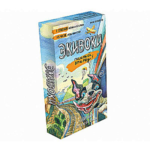 Board Game - Ekiwoki. Full speed ahead!