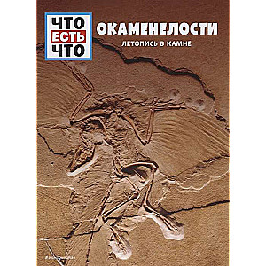 ОКАМЕНЕЛОСТИ. Летопись в камне