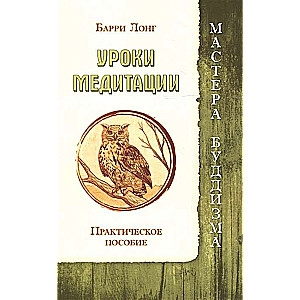 Уроки медитации. Практическое пособие (ИПЛ)