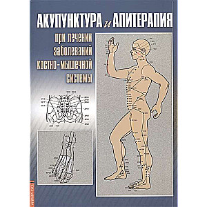 Акупунктура и апитерапия при лечении заболеваний костно-мышечной системы. 2-е изд. Практ. рук-во