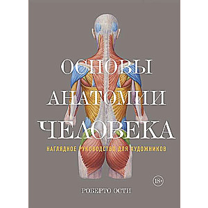 Основы анатомии человека. Наглядное руководство для художников