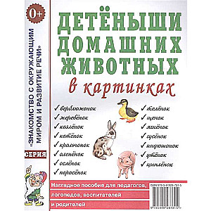 Детеныши домашних животных в картинках. Наглядное пособие для педагогов, логопедов, воспитателей. А4