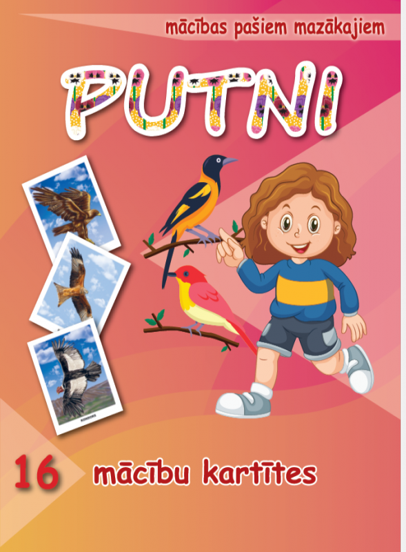 Mācību kartītes – PUTNI ( LV )