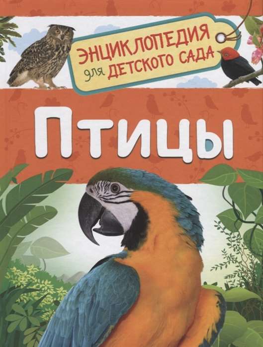 Птицы