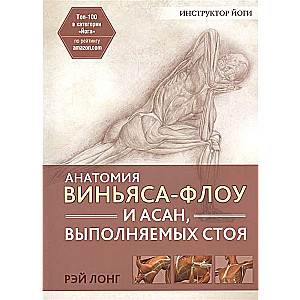 Анатомия виньяса-флоу и асан, выполняемых стоя