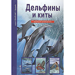 Дельфины и киты. Школьный путеводитель