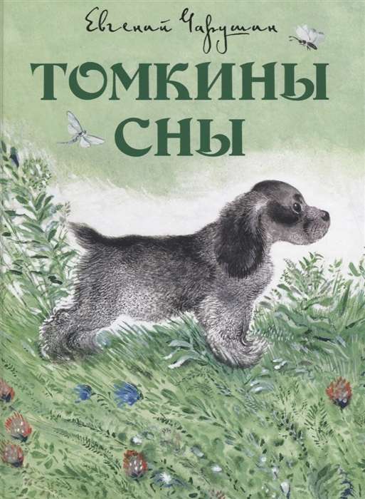 Томкины сны