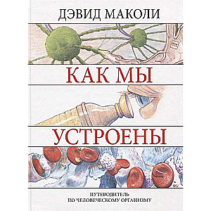 Как мы устроены. Путеводитель по человеческому организму