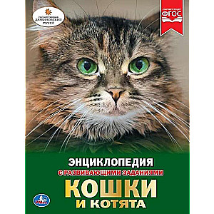 Кошки и котята