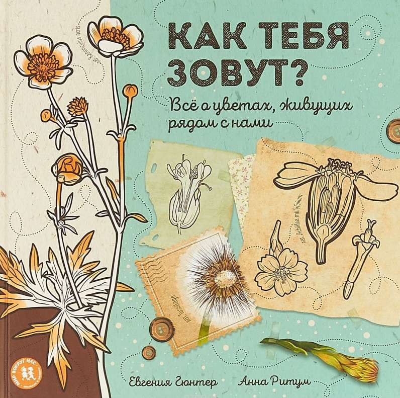 Как тебя зовут? Всё о цветах, живущих рядом с нами