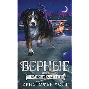 Верные. Книга 2. Тайна трёх колец