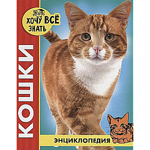 Кошки