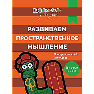 Развиваем пространственное мышление. Для детей 2-3 лет