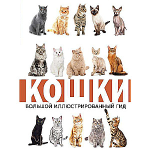 Кошки