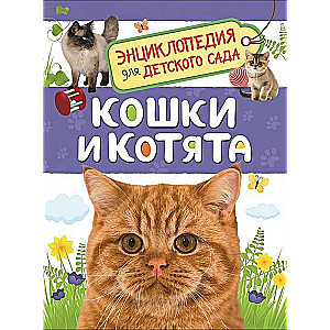 Кошки и котята