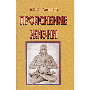 Прояснение жизни. 2-е издание