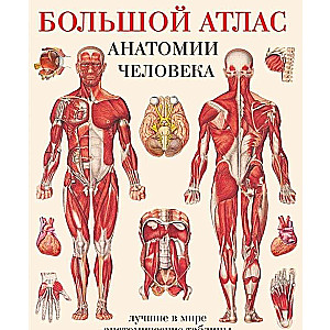 Большой атлас анатомии человека