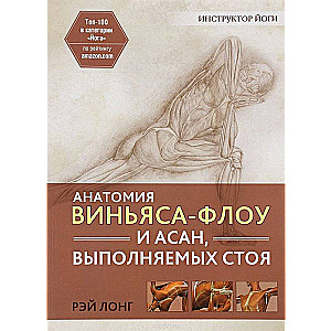 Анатомия виньяса-флоу и асан, выполняемых стоя