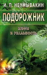 Подорожник. Мифы и реальность