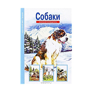 Собаки