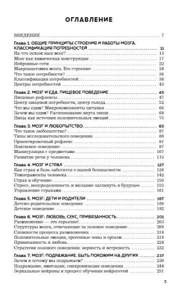 Мозг и его потребности 2.0. От питания до признания