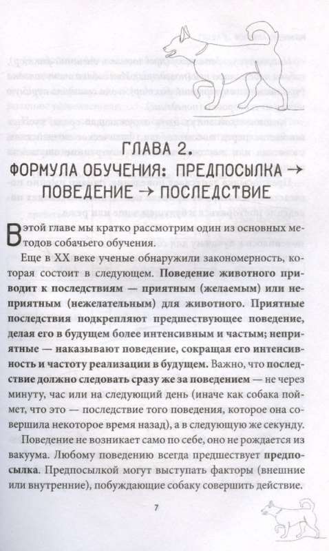 Ко мне! Как научить собаку моментально возвращаться по команде