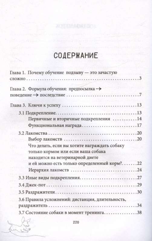 Ко мне! Как научить собаку моментально возвращаться по команде