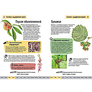 Растения. Краткий иллюстрированный справочник