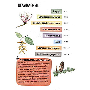 Растения. Краткий иллюстрированный справочник