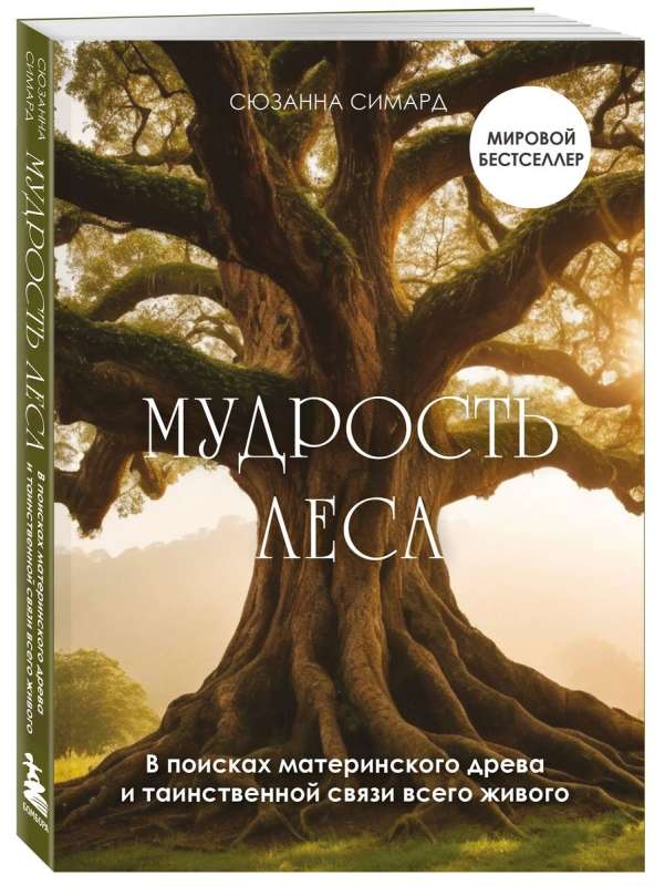 Мудрость леса. В поисках материнского древа и таинственной связи всего живого