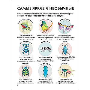 Детская энциклопедия насекомых