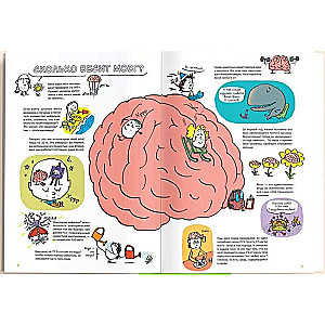 Супермозг. Детские вопросы про интеллект и память