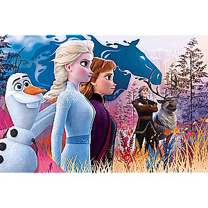 Пазл 24 Maxi Trefl: Disney Frozen 2