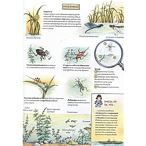 Животные и растения рек, озёр и морей. BIObook А. Толмачёва