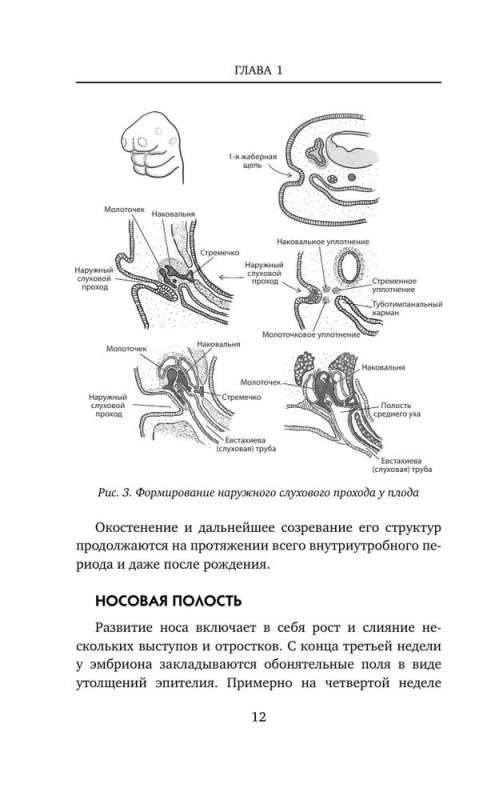 Сопливый ребенок и его спокойная мама. Первая помощь маленьким носикам, горлышкам и ушкам