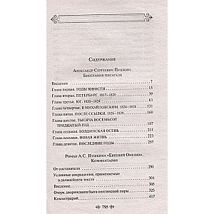 Комментарии к роману «Евгений Онегин». Биография А. С. Пушкина