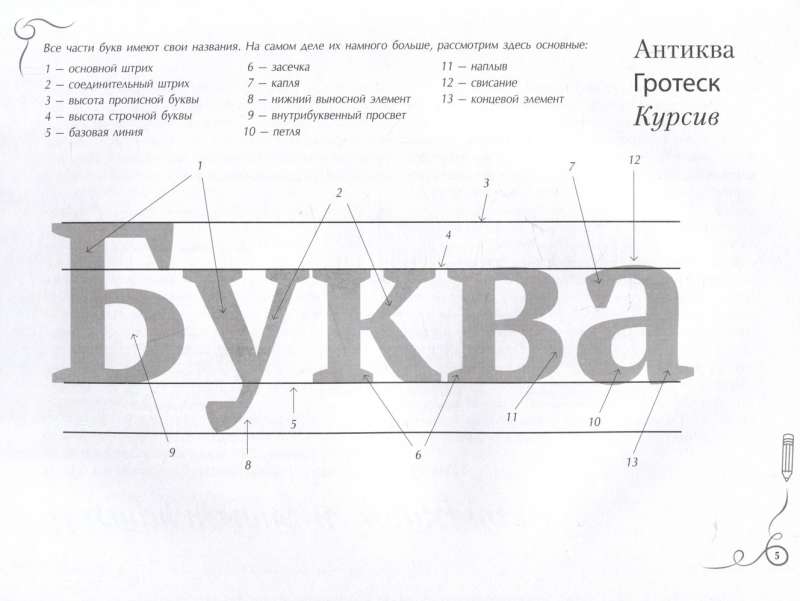 Каллиграфия и леттеринг. Экспресс-курс + прописи